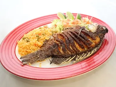 Authentic Latin Food Minneapolis